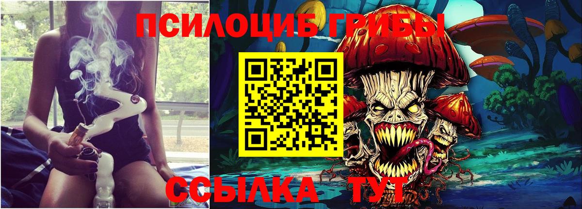 Псилоцибиновые грибы мухоморы  Вход с VPN  Осинники 