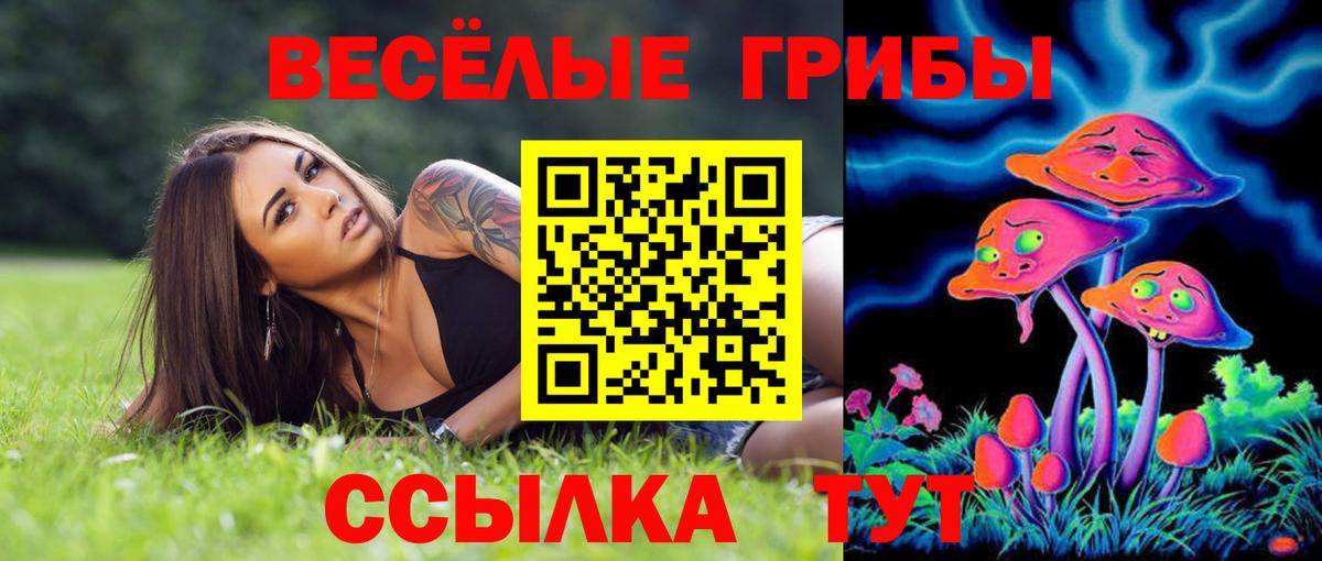 Галлюциногенные грибы мухоморы Осинники